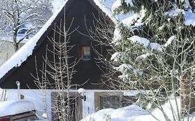 Holiday Home With Terrace In The Black Forest